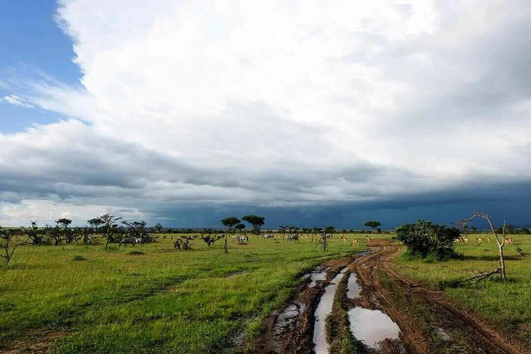 masai mara road